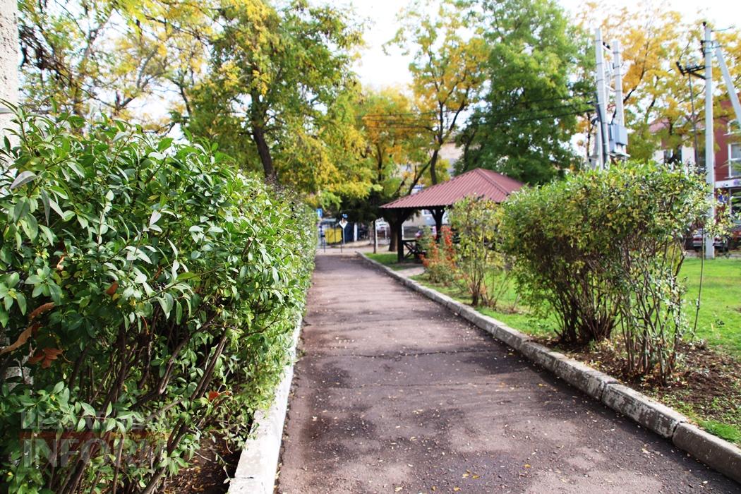 Поцілунок осені в Болграді: фотопрогулянка по оазисах міста