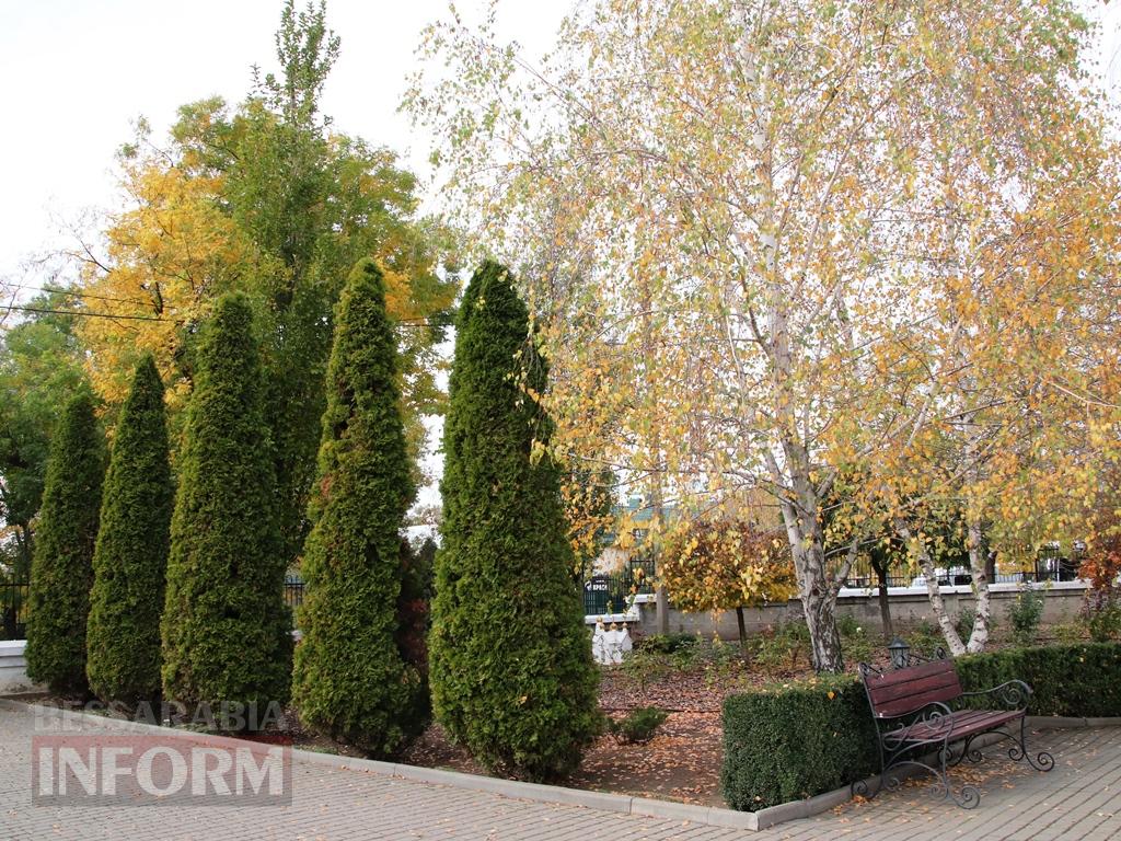 Поцілунок осені в Болграді: фотопрогулянка по оазисах міста