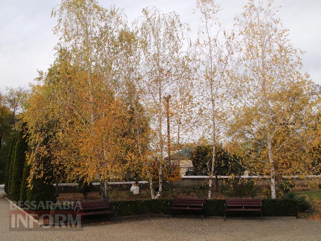 Поцілунок осені в Болграді: фотопрогулянка по оазисах міста