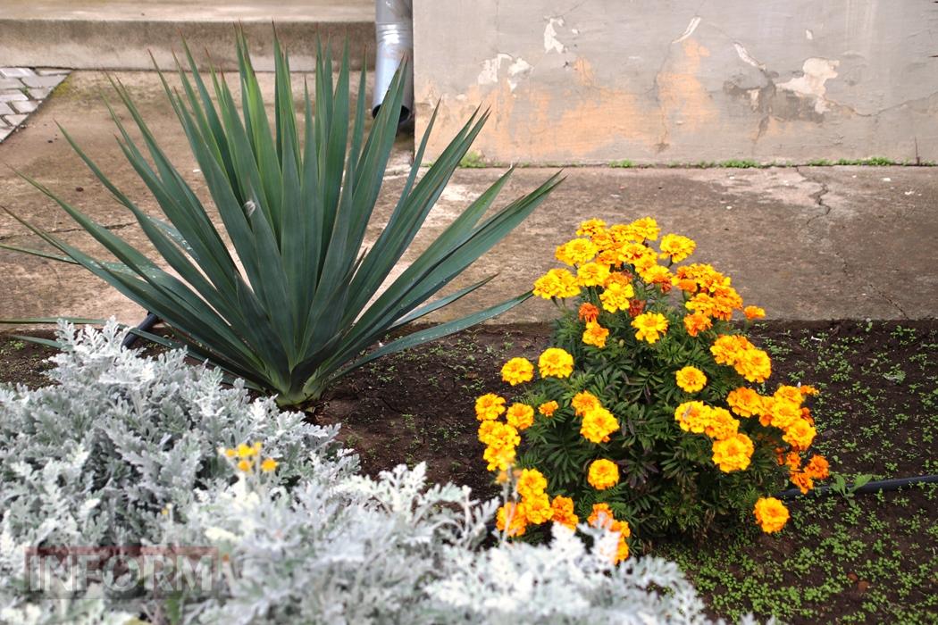 Поцілунок осені в Болграді: фотопрогулянка по оазисах міста