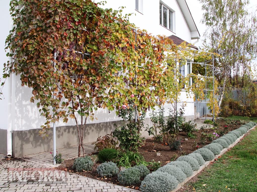 Поцілунок осені в Болграді: фотопрогулянка по оазисах міста