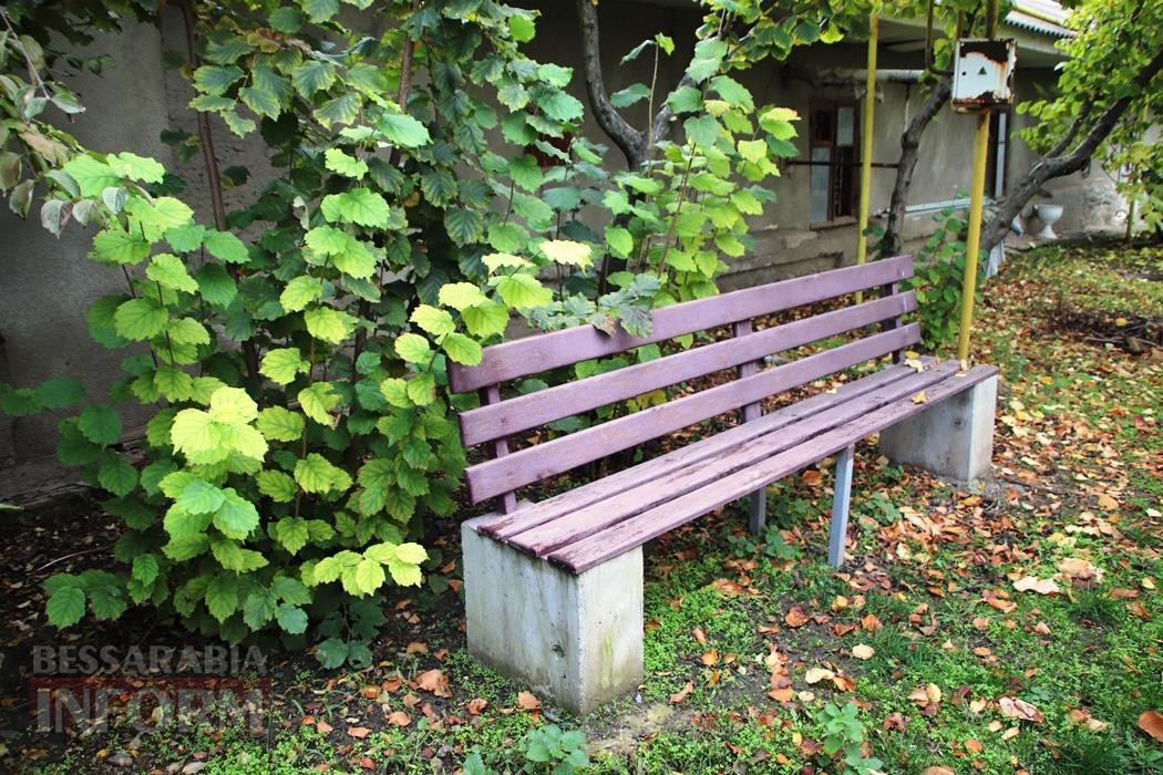 Поцілунок осені в Болграді: фотопрогулянка по оазисах міста