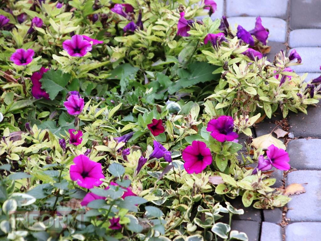 Поцілунок осені в Болграді: фотопрогулянка по оазисах міста