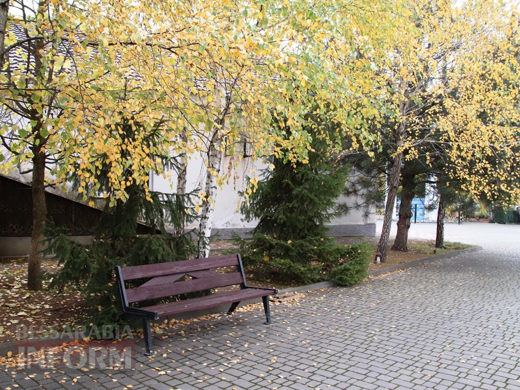 Поцілунок осені в Болграді: фотопрогулянка по оазисах міста