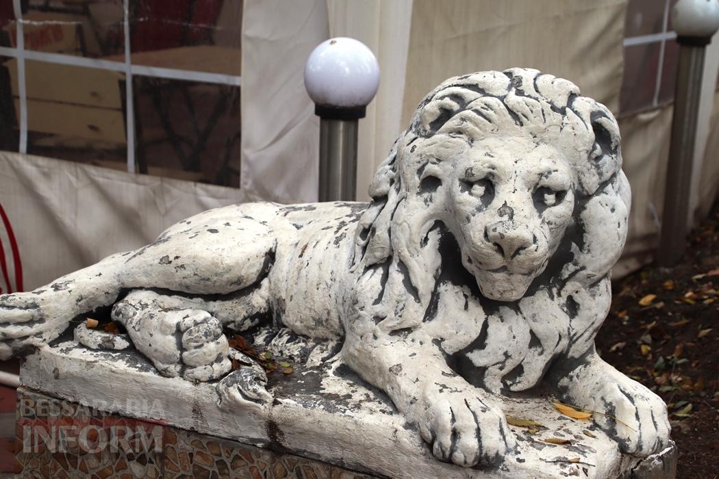 Поцілунок осені в Болграді: фотопрогулянка по оазисах міста