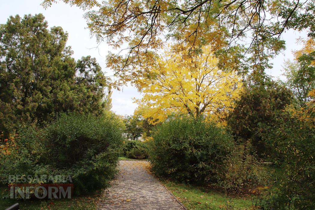 Поцілунок осені в Болграді: фотопрогулянка по оазисах міста