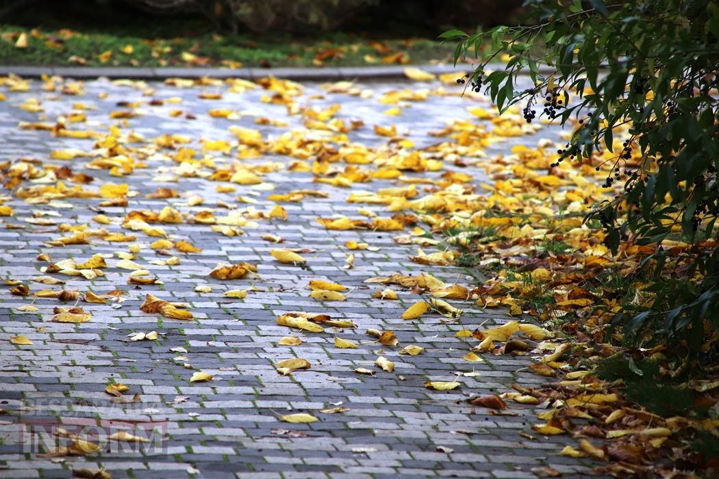 Поцілунок осені в Болграді: фотопрогулянка по оазисах міста