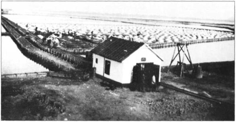 У Бессарабії підзабуте вченими родовище може забезпечити Україну сіллю на кілька тисячоліть