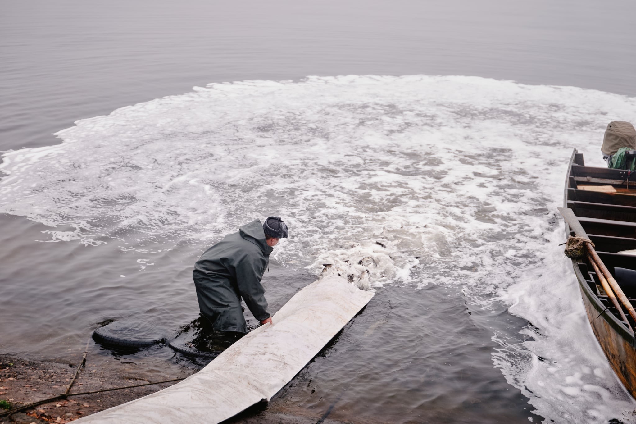 Дністровський лиман вперше зарибнили за кошти з аукціонів