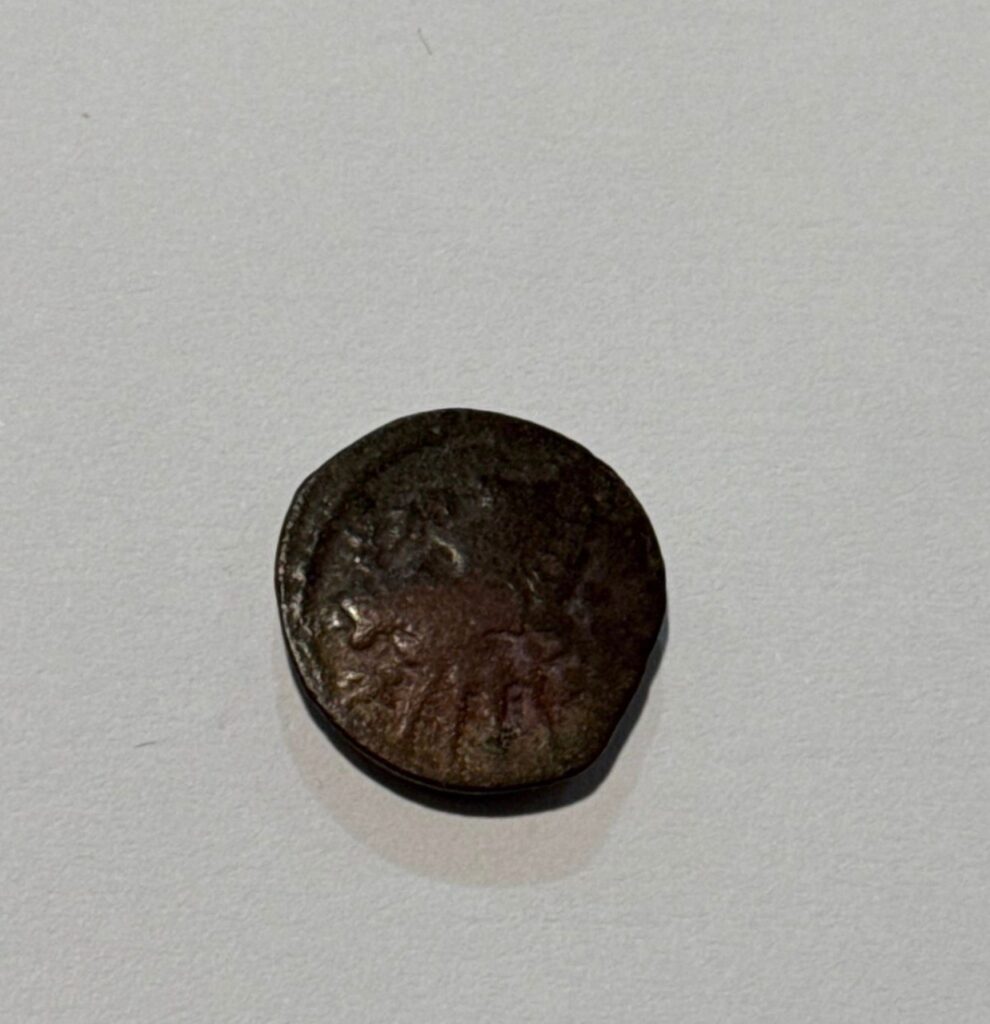 Ізмаїльські прикордонники зупинили спробу вивезення раритетних монет до Болгарії