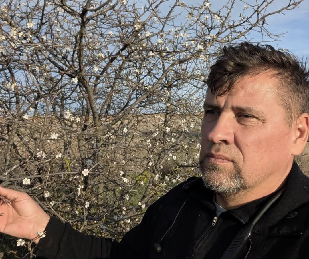 На півдні Одещини взимку почала плодоносити дика слива