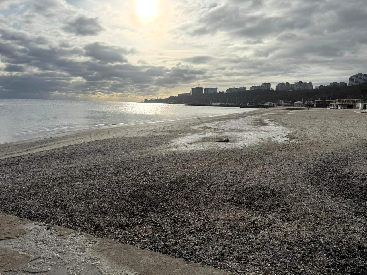 Результати кризового моніторингу узбережжя Одещини після потрапляння у море соняшникової олії