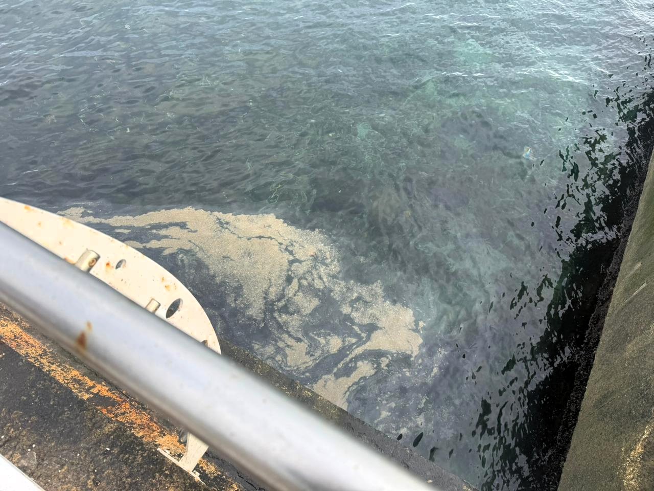 Результати кризового моніторингу узбережжя Одещини після потрапляння у море соняшникової олії