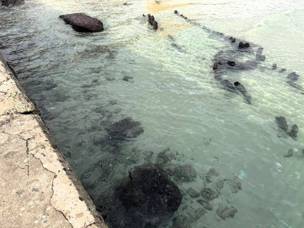 Результати кризового моніторингу узбережжя Одещини після потрапляння у море соняшникової олії