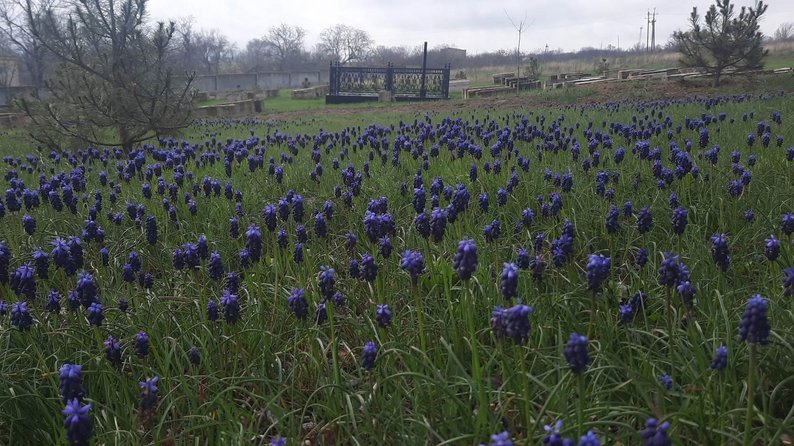Невідомі кладовища Бессарабії: чи насправді жили тут козаки