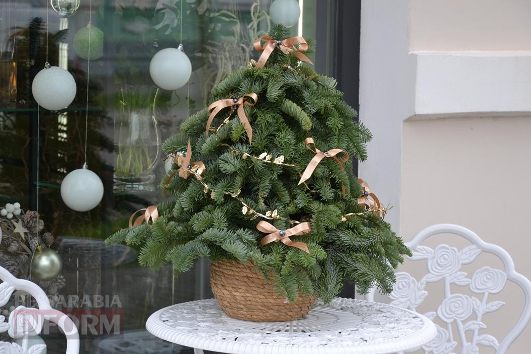 Попри важкі часи, Кілія по-особливому вдяглася у новорічне вбрання: фоторепортаж