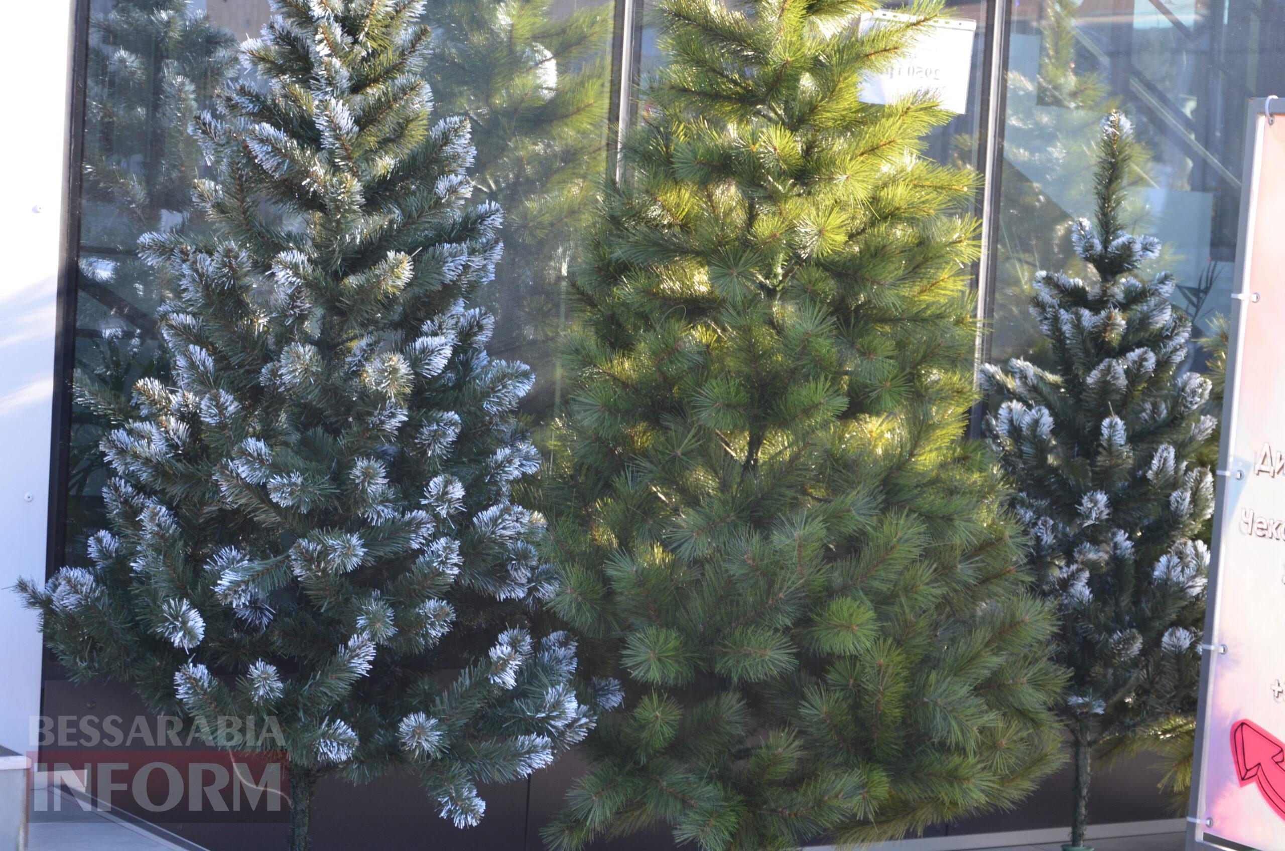 В Ізмаїлі запрацювали ялинкові базари – як обрати святкову красуню до душі