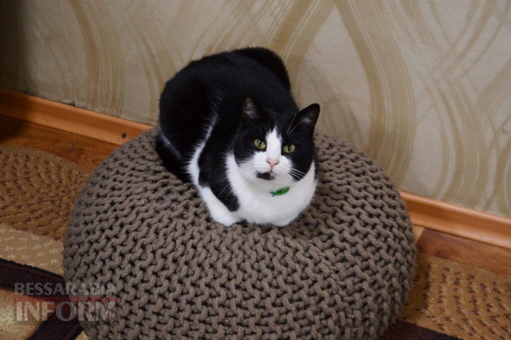 «Фонд Добра та Любові» привітав особливу молодь Аккермана із Днем людей з інвалідністю