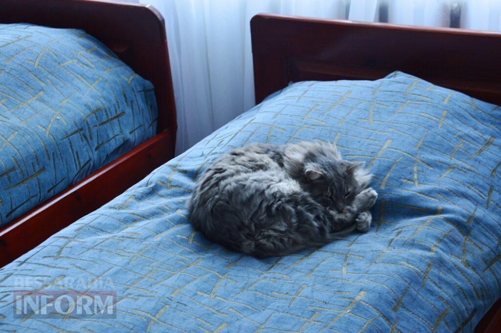 «Фонд Добра та Любові» привітав особливу молодь Аккермана із Днем людей з інвалідністю