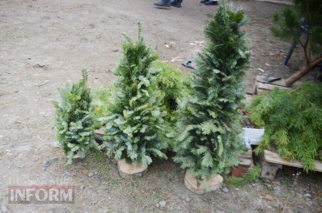 Новорічна казка в Аккермані на тлі темряви ворожих атак: як святкова атмосфера може стати "пальним" для психологічного здоров'я