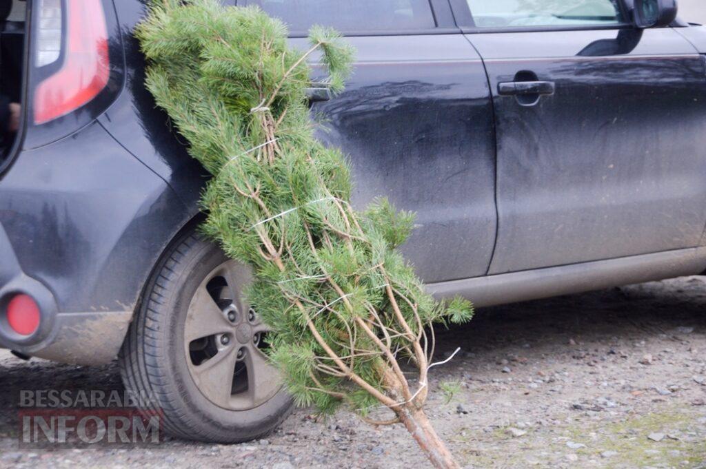Новорічна казка в Аккермані на тлі темряви ворожих атак: як святкова атмосфера може стати "пальним" для психологічного здоров'я