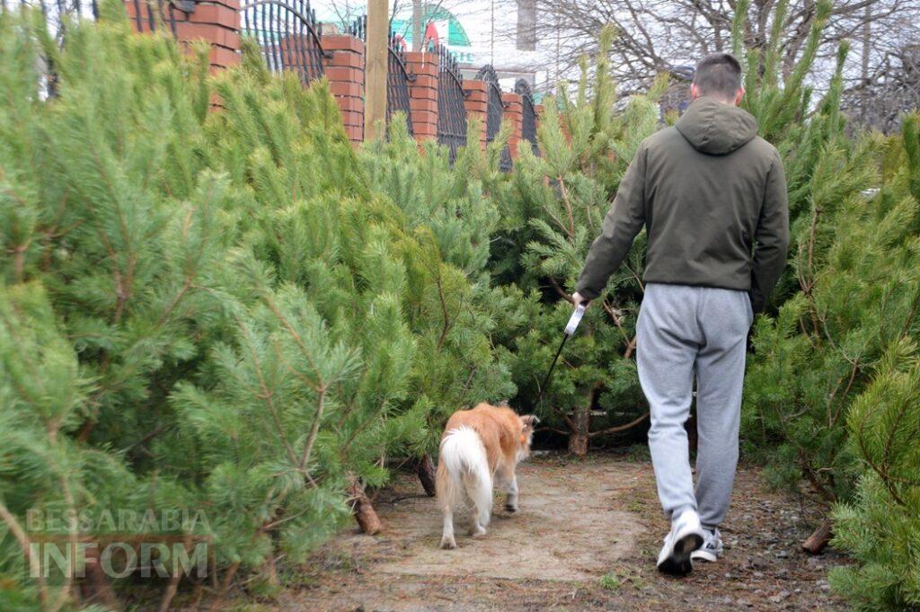 Новорічна казка в Аккермані на тлі темряви ворожих атак: як святкова атмосфера може стати "пальним" для психологічного здоров'я
