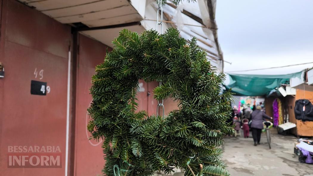З ароматом лісу: вартість та асортимент ялинок та сосен у Кілії