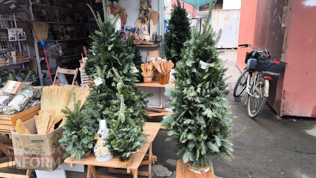 З ароматом лісу: вартість та асортимент ялинок та сосен у Кілії