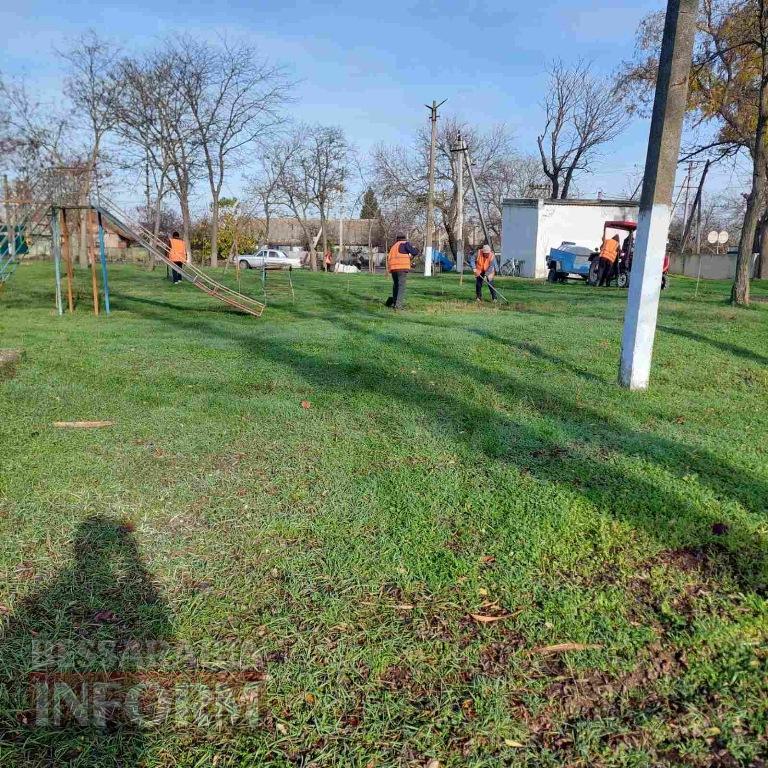 У міському парку Кілії висадили цілу алею молодих кленів