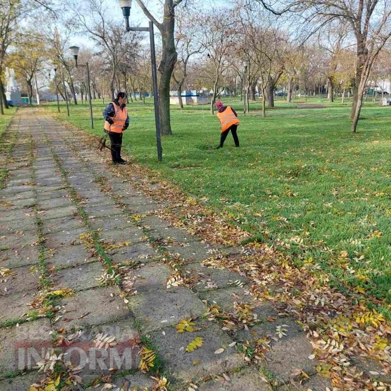У міському парку Кілії висадили цілу алею молодих кленів