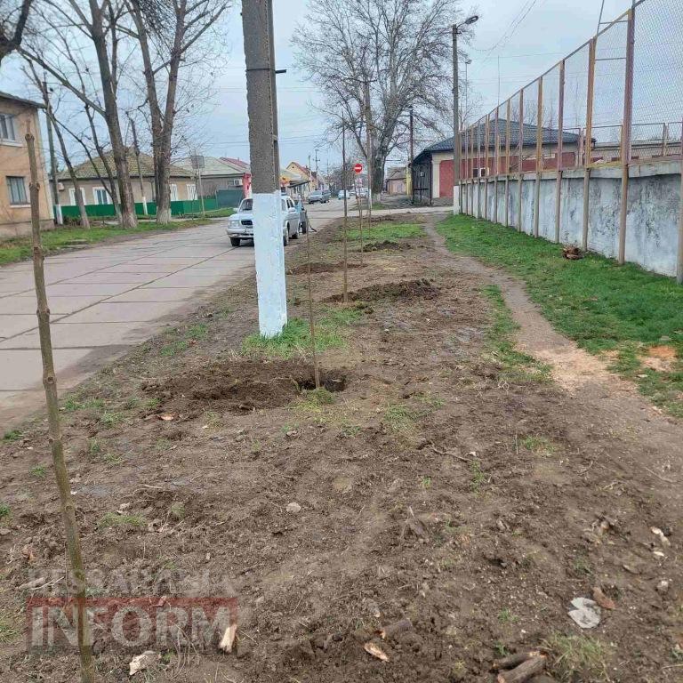 У Кілії завершили висадку молодих зелених насаджень