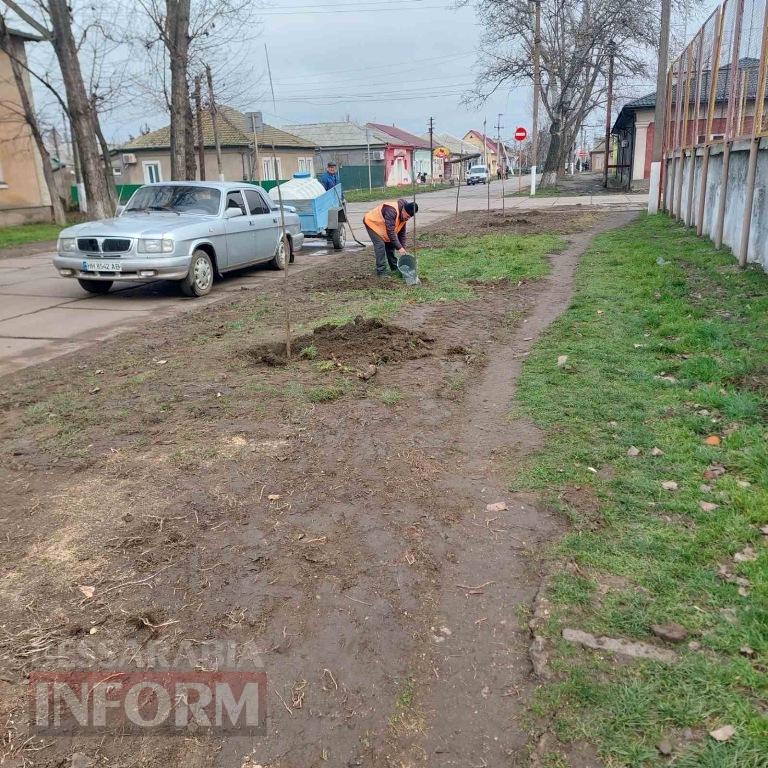 У Кілії завершили висадку молодих зелених насаджень