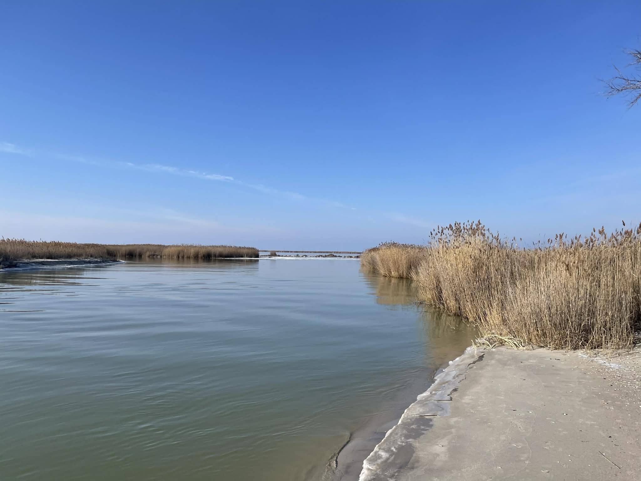 У лиманах на півдні Одещини спостерігається підняття рівня води