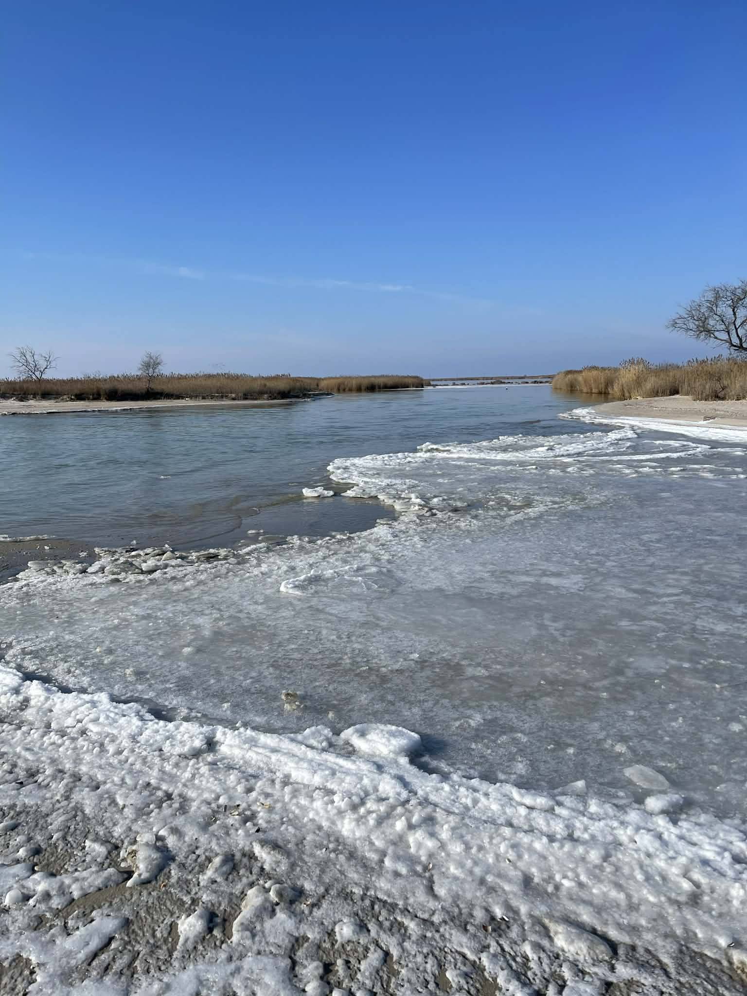 У лиманах на півдні Одещини спостерігається підняття рівня води