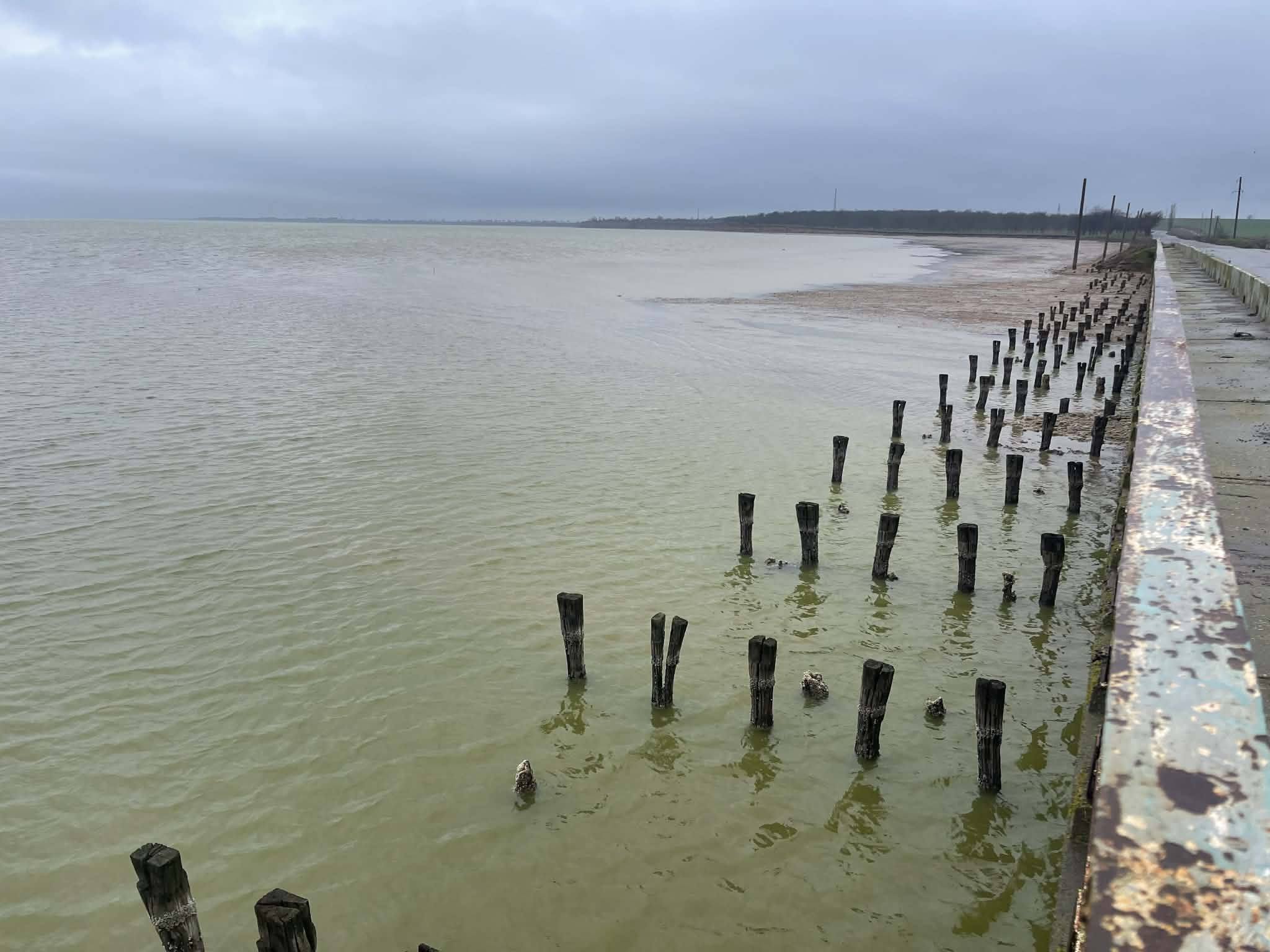 У лиманах на півдні Одещини спостерігається підняття рівня води