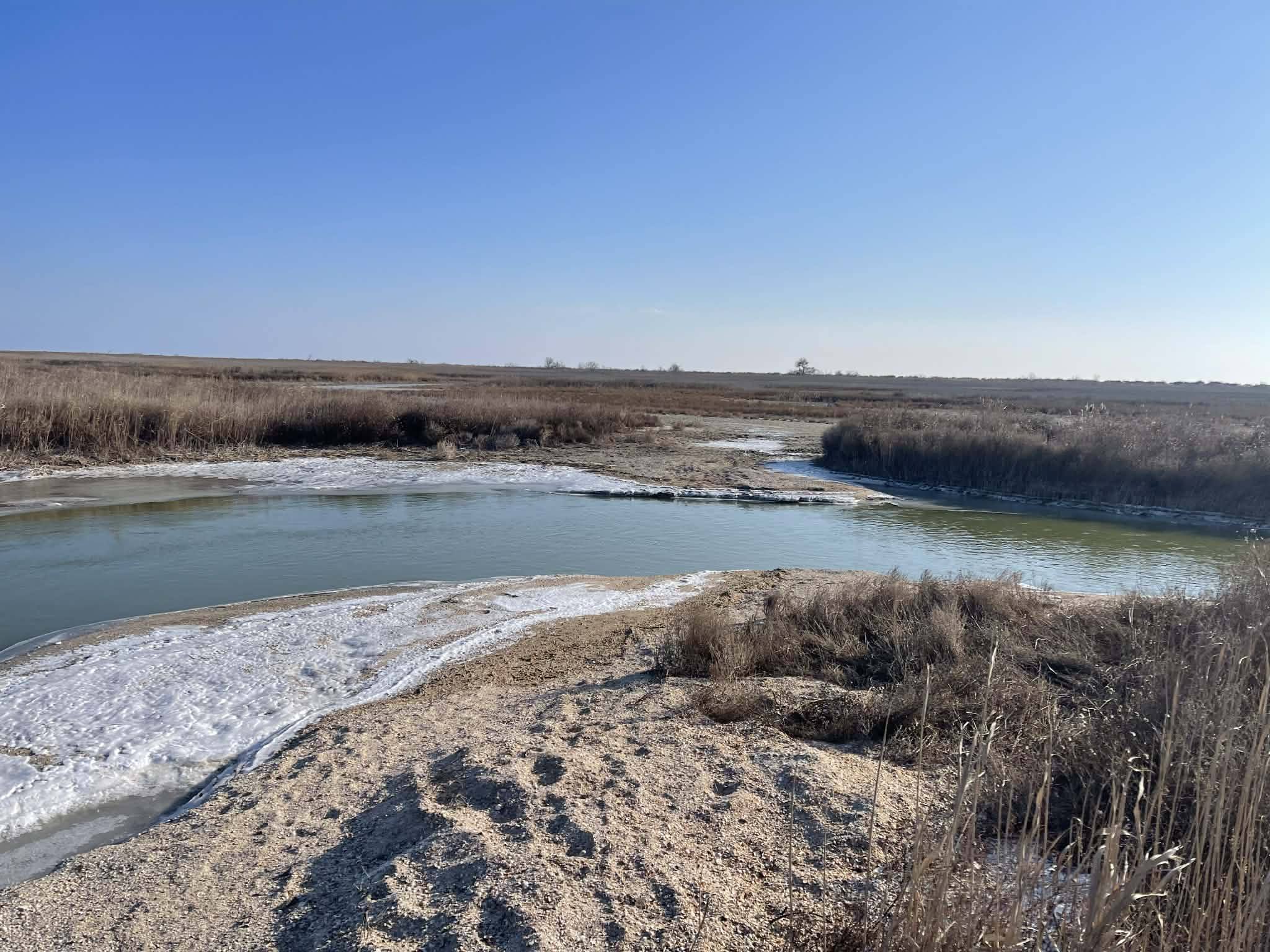 У лиманах на півдні Одещини спостерігається підняття рівня води
