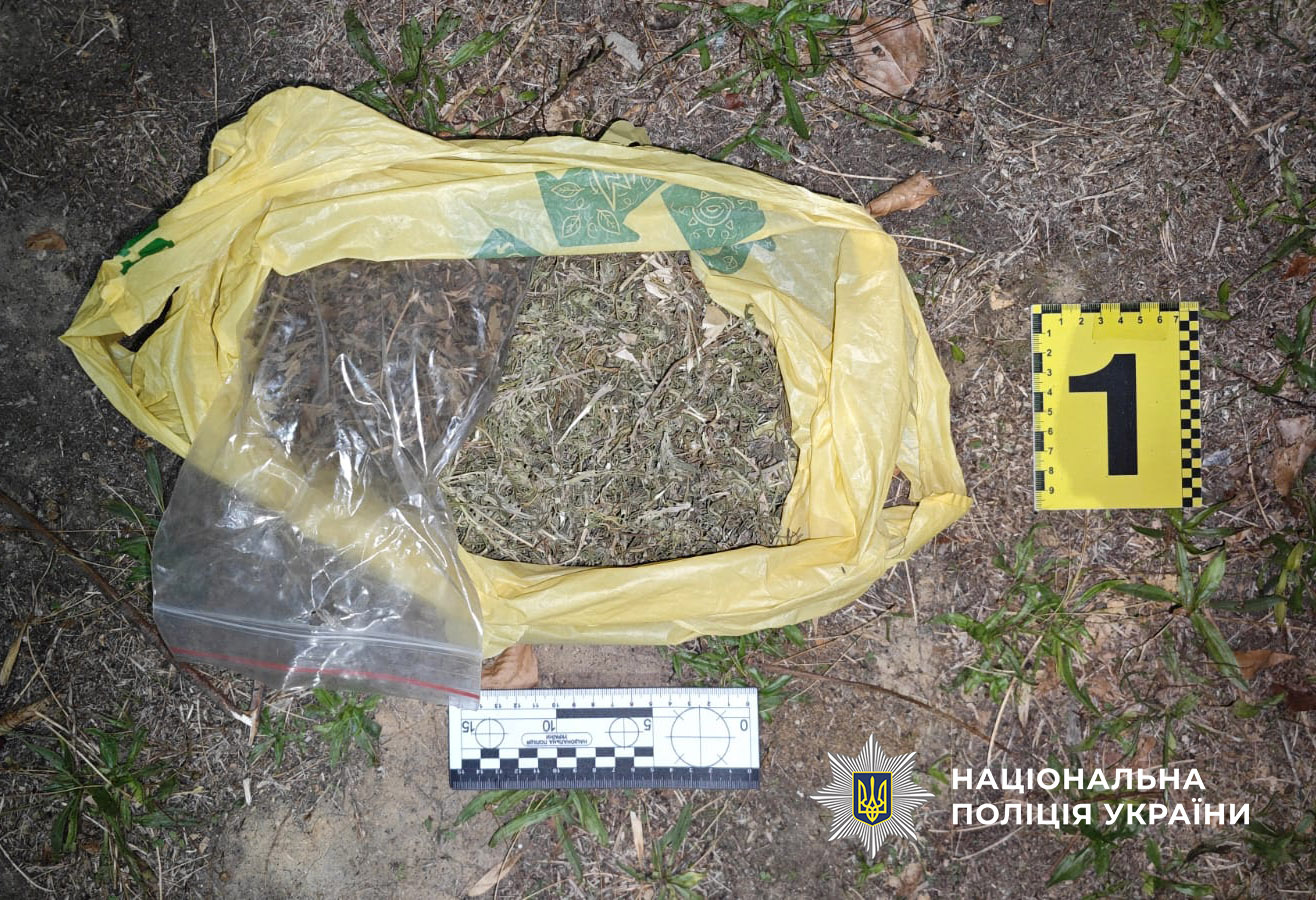 Молодик з Білгород-Дністровського району виготовляв канабіс на продаж, йому загрожує вісім років ув’язнення