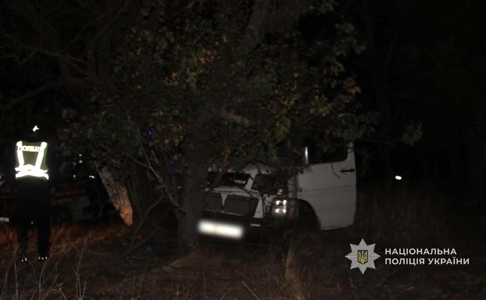 У Болградському районі отримав покарання водій, який напідпитку та без навичок водіння скоїв смертельну ДТП