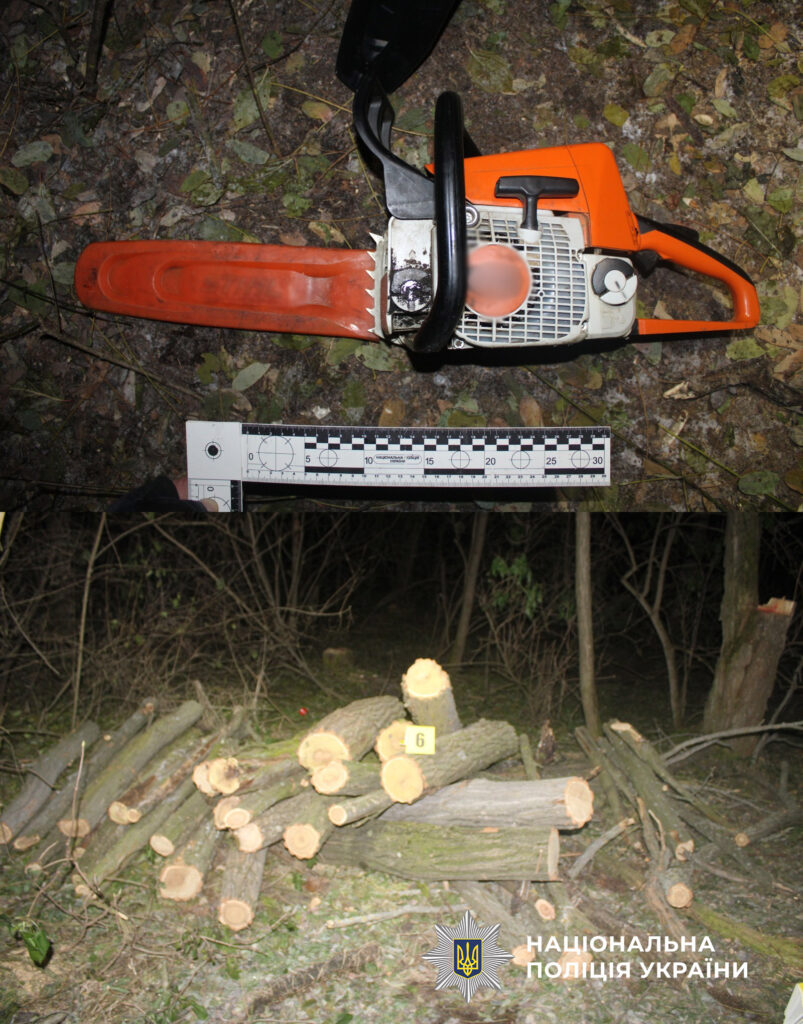 Керівник КП на Болградщині організував незаконну вирубку дерев