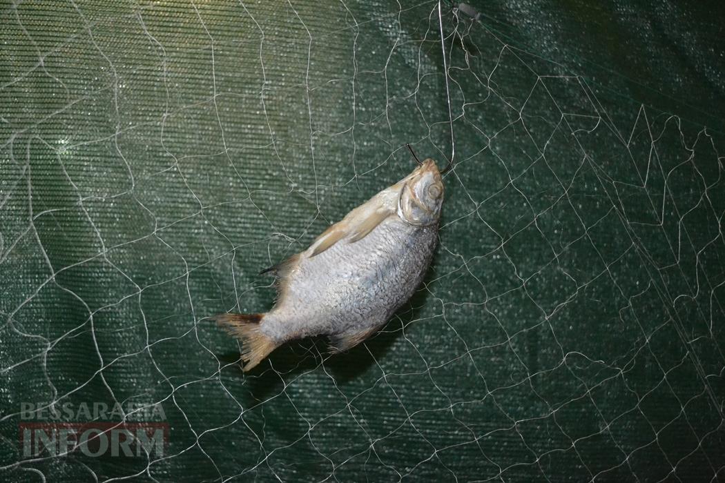 «Симфонія Різдва»: як у селі Шевченкове Кілійської громади по-особливому відсвяткували Різдво Христове