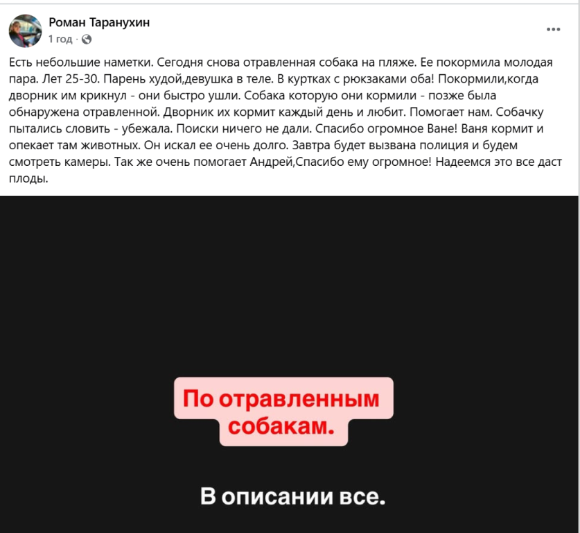 Чи буде край? В Ізмаїлі продовжують труїти собак