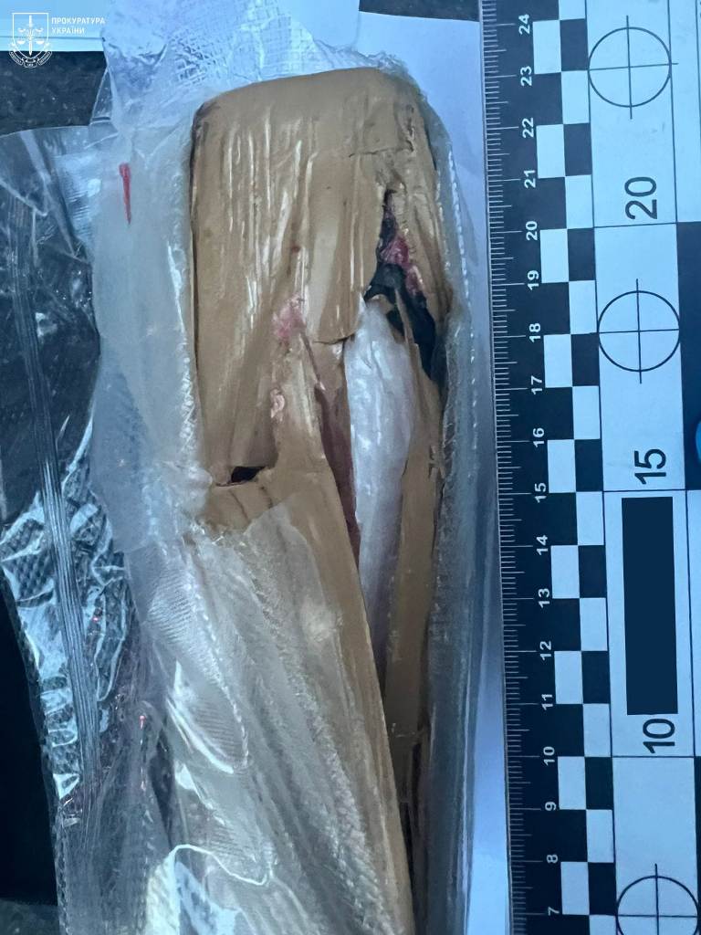 Організаторка з Бессарабії - у розшуку: на лаву підсудних відправили двох чоловіків за контрабанду кокаїну