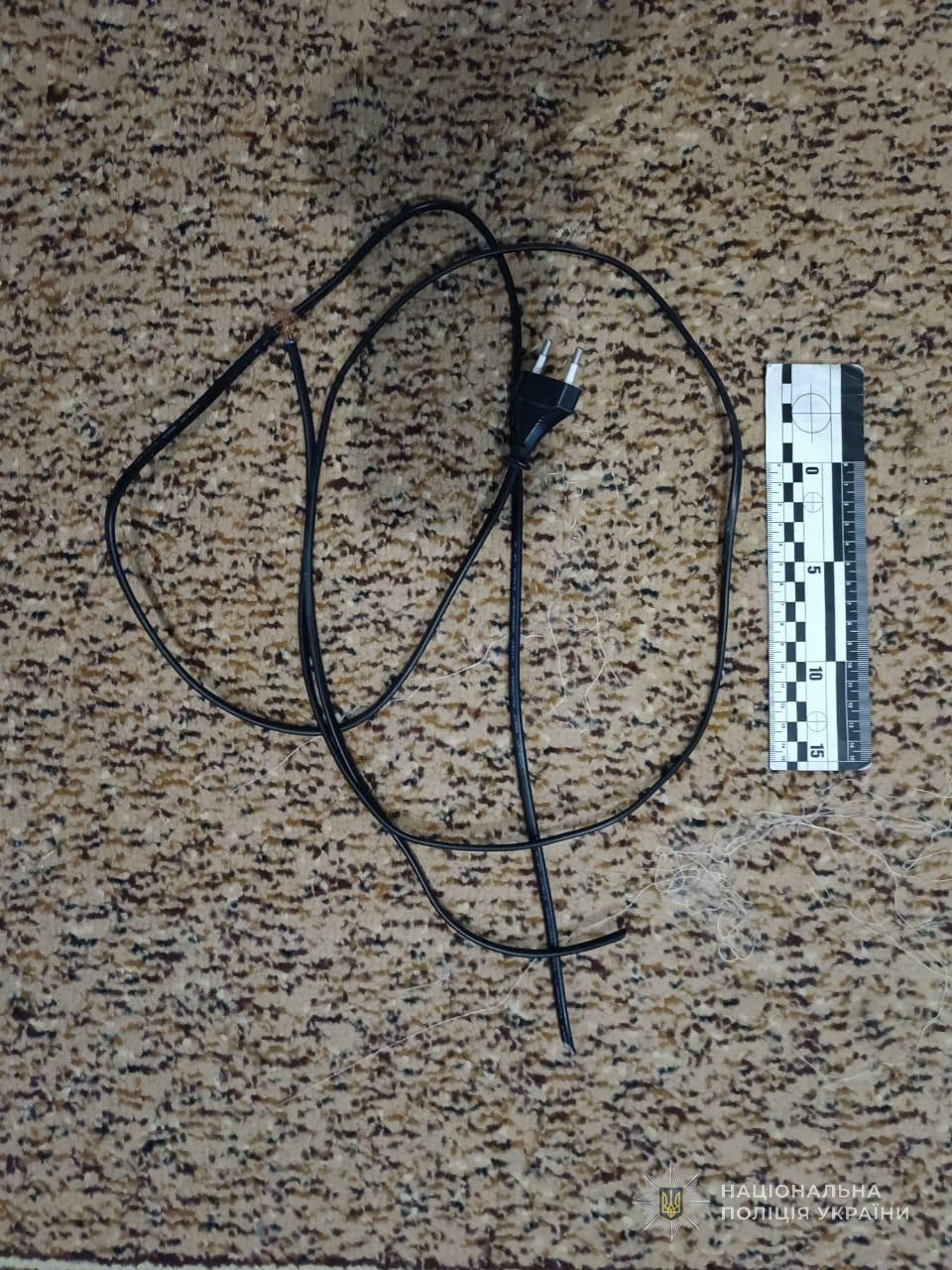 У поліції Ізмаїльщини прокоментували розбійний напад на літнє подружжя та їхнього неповнолітнього онука