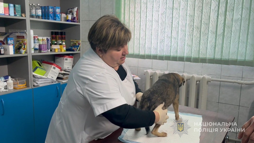 За фактом знущання над твариною в Ізмаїльському районі відкрито кримінальне провадження