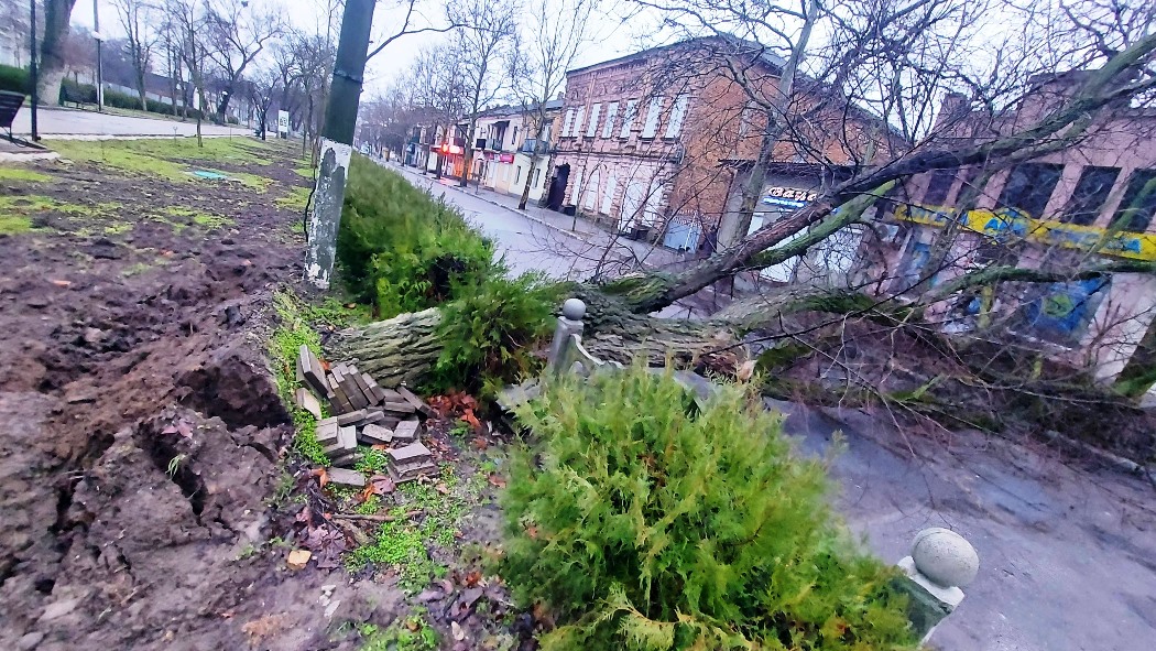 Негода у Болграді: містян закликають бути обережними через ризик падіння дерев