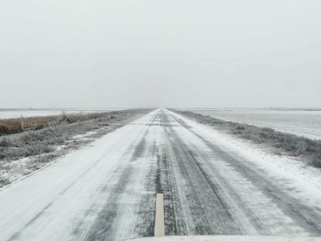 Пункти пропуску «Орлівка» та «Джурджулешти» тимчасово не працюють