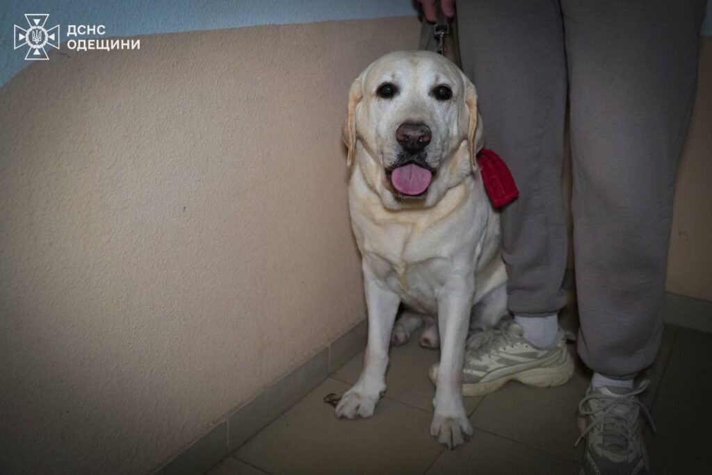 Ворог продовжує "шахедний" терор Одеси: є влучання та постраждалі