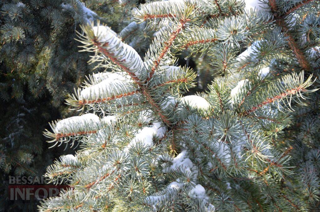 Снігова казка полонила Бессарабію - великий фоторепортаж