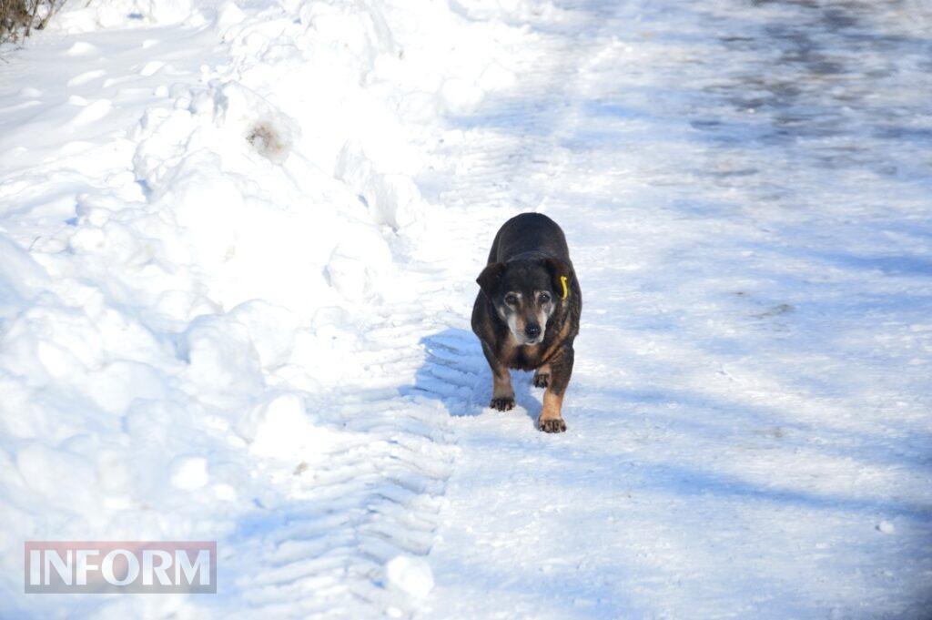 Снігова казка полонила Бессарабію - великий фоторепортаж
