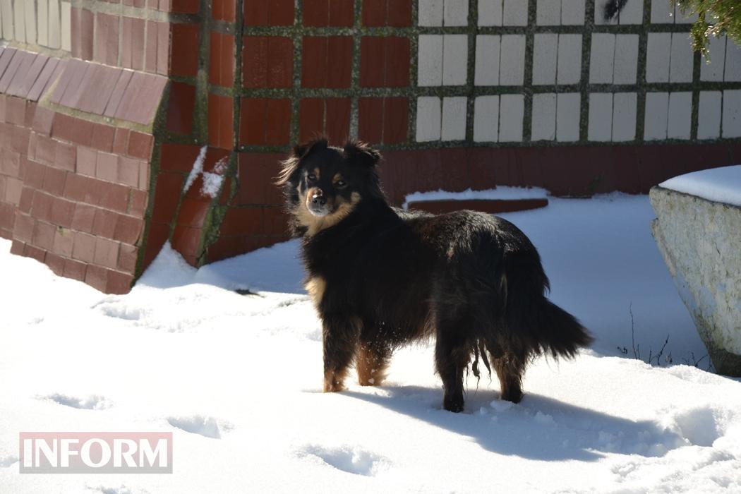 Снігова казка полонила Бессарабію - великий фоторепортаж